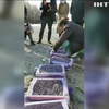 На Київщині у браконьєрів вилучили півтори сотні щиглів