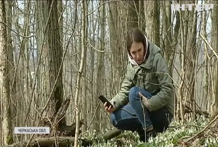 Студенти-біологи Черкащини допомагають лісникам захищати від браконьєрів червонокнижні квіти