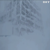 У Карпатах вирує снігова буря: туристів закликали утриматись від походів