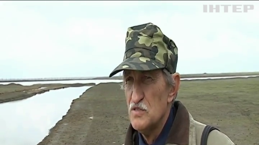 Екологічне лихо: у заповіднику "Асканія-Нова" масово гинуть червонокнижні птахи