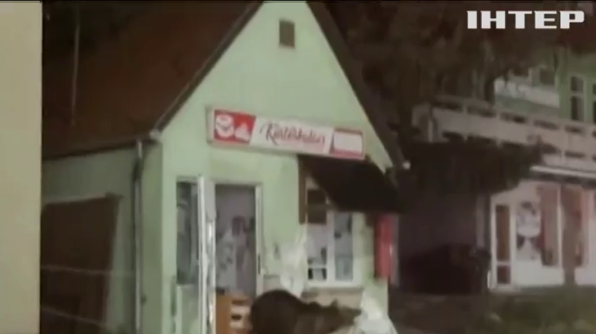 Голодні ведмеді тероризують жителів курортного містечка у Румунії (відео)