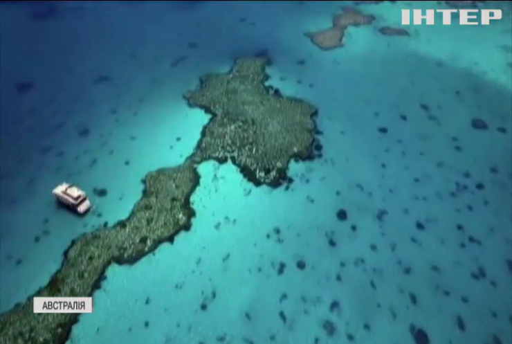 Великий Бар'єрний риф може зникнути через зміни клімату