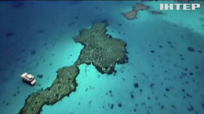 Великий Бар'єрний риф може зникнути через зміни клімату