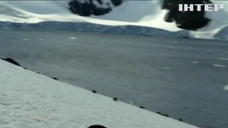 Температура в Антарктиді встановила новий рекорд