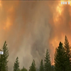 У Каліфорнії евакуюють шість тисяч людей через лісові пожежі