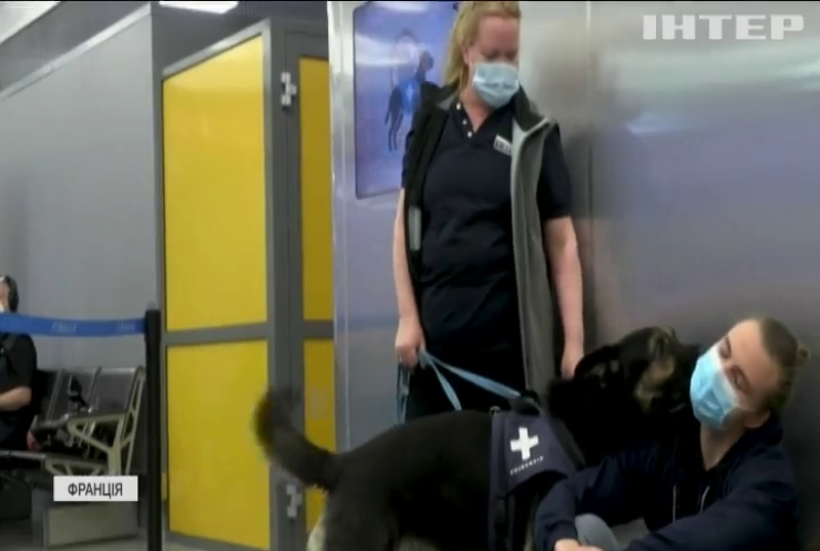 У французькому будинку для літніх людей собаки допомагають виявляти хворих на коронавірус