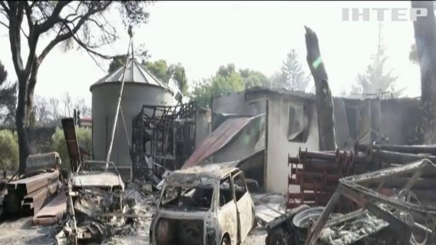 У Греції лісові пожежі пошкодили понад 200 будинків