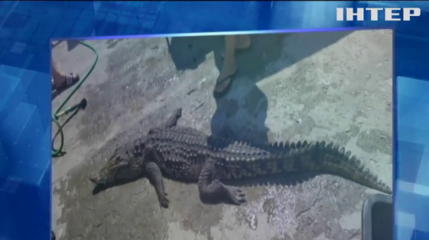 На Херсонщині знайшли озеро з крокодилом