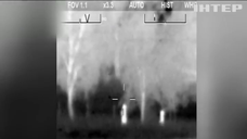 У Польщі спіймали рекордну групу нелегальних мігрантів