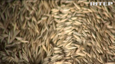 Державну продовольчо-зернову корпорацію запідозрили у розтраті