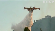 У Греції рятувальник підпалив траву, щоб героїчно її гасити