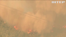 Пожежі в Алжирі забрали життя 70 людей