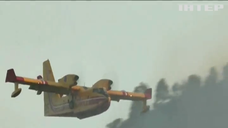 У Греції затримали майже сотню паліїв лісу