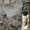 Археологи знайшли могилу жителя Помпеїв