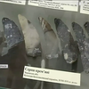 Експонатам черкаського музею загрожує пліснява