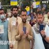 В Кабулі українці записали відео-звернення до Володимира Зеленського