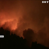 Вогонь знищив майже тисячу гектарів лісу у Іспанії