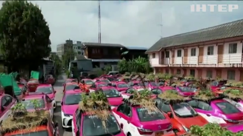 У Бангкоку автопарк таксі перетворився на міні-ферму