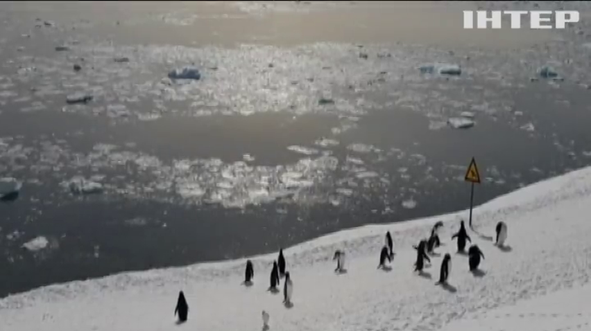 У центрі "Академік Вернадський" відбирають науковців, які поїдуть в Антарктиду вивчати кліматичні зміни