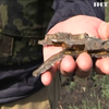 Війна на Донбасі: двоє українських військових підірвалися на невідомому пристрої