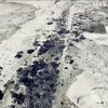 Екологічна катастрофа сталася біля Каліфорнійських берегів