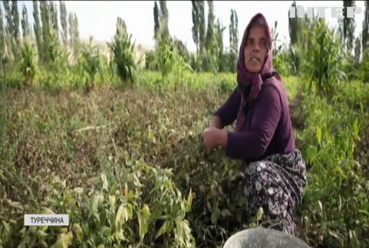Тисячі фермерів Туреччини зіткнулися з нестачею води та неврожаєм