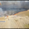 На Харківщині займання трави перетворилось на масштабну пожежу