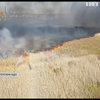Палили сухостій: на Харківщині сталася масштабна пожежа