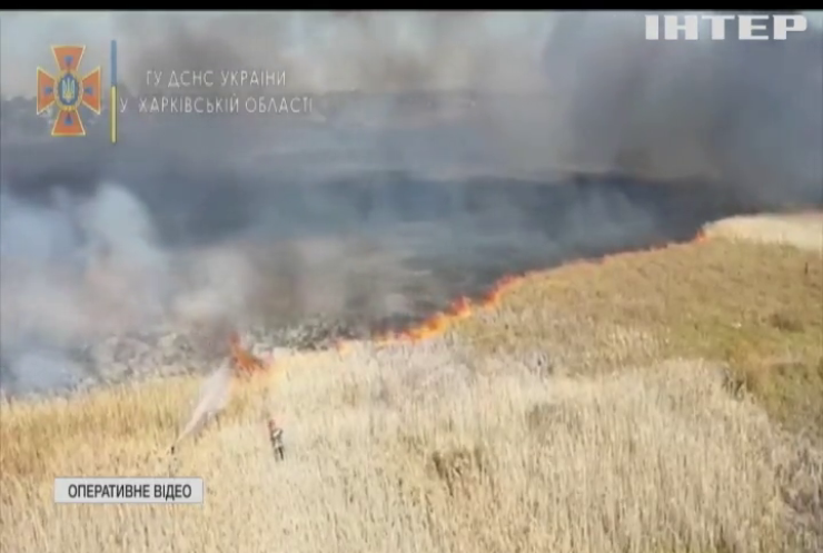 Палили сухостій: на Харківщині сталася масштабна пожежа