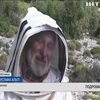 Масштабні лісові пожежі у Тереччині спричинили дефіцит меду