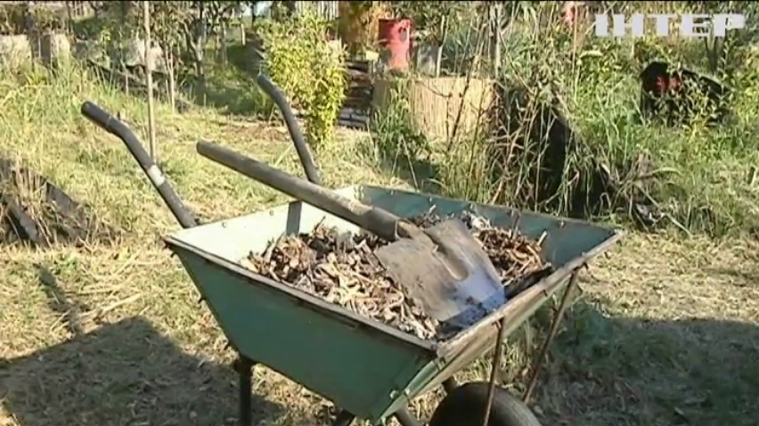 В Україні не вистачає сміттєпереробних заводів: куди дівати опале листя?