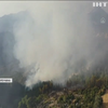 У Туреччині знову горять ліси: пожежа виникла через блискавку