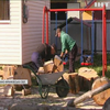 Жителям Прикарпаття не дозволяють запасати взимку деревину