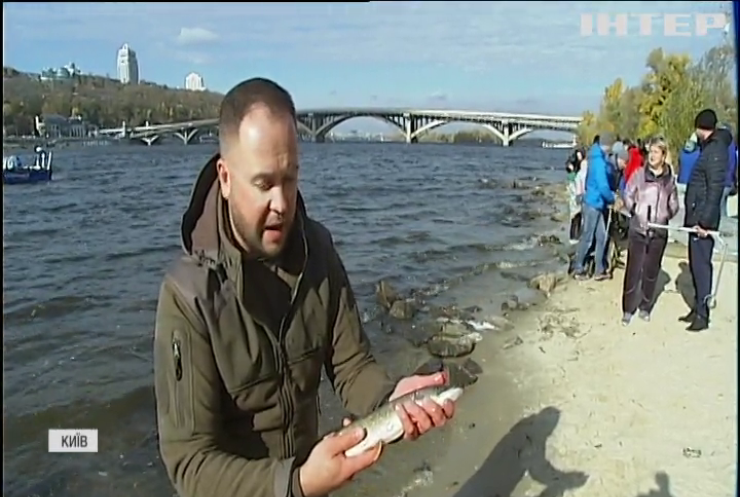 У Київський Днепр випустили дві тонни риби