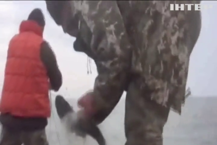Донецькі прикордонники запобігли незаконному вилову риби в Азовському морі