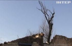 Від початку доби на сході країни вже поранили українського військового