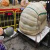 В Іспанії виростили гарбуз вагою 800 кілограмів