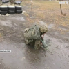 Війна на Донбасі: армійці тренують бойових навичок за кілька кілометрів від лінії зіткнення