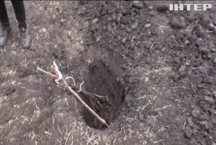 Двоє українських військових підірвалися на вибухівці
