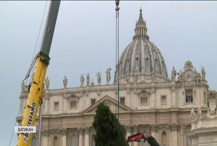 У Ватикані встановили 8-тонну ялинку