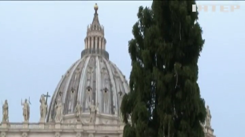 Ватиканська святкова ялинка важить вісім тонн