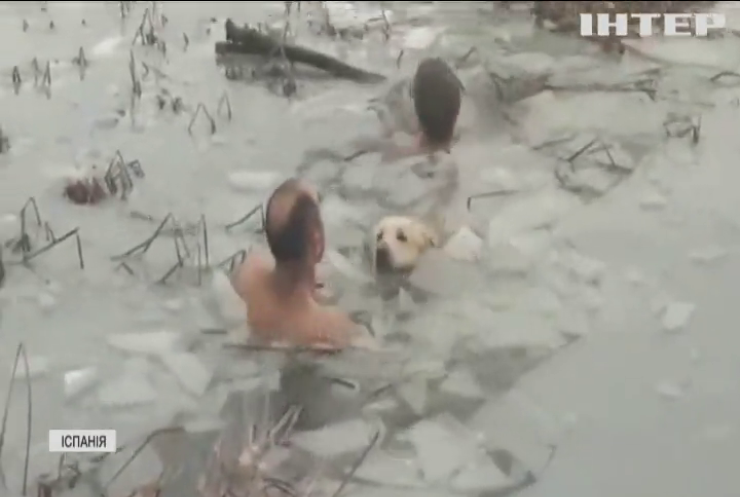 Іспанська поліція врятувала собаку з замерзлої водойми
