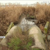 Проблеми з дощовою каналізацією стали причиною "потопів" та забруднення річок в Миколаєві