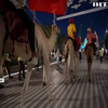640 кілометрів подолали верблюди аби прибути на виставку у Дубаї