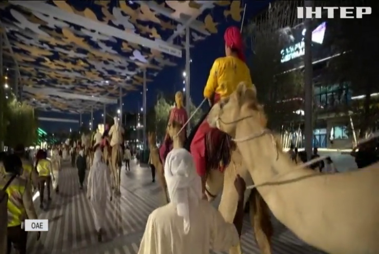На всесвітню виставку "Дубай-ЕКСПО" прибув караван верблюдів