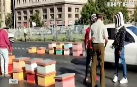 Нечувана посуха вивела на протест бджолярів у Чилі