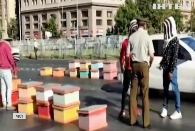 Нечувана посуха вивела на протест бджолярів у Чилі