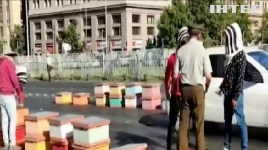 Нечувана посуха вивела на протест бджолярів у Чилі