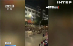 80 страусів чкурнули з ферми у Китаї