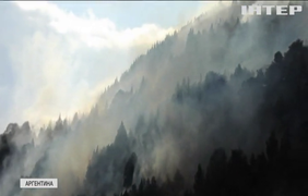 В Аргентині через рекордну спеку палають ліси
